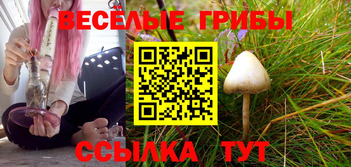 Галлюциногенные грибы GOLDEN TEACHER Воскресенск
